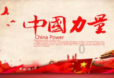 寻找萌宠松鼠